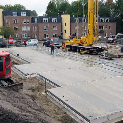 Bagijnenwalstraat-lindeboom 2
